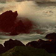 会员作品——海魂