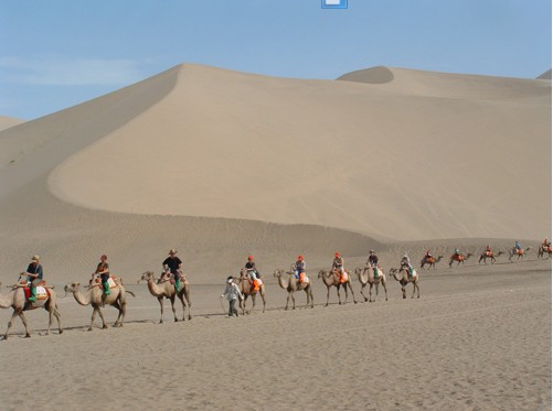 陈汉亮的摄影作品