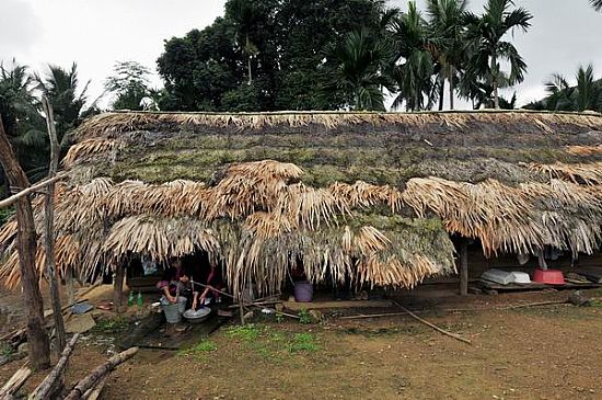 聚焦琼海苗寨茅草屋 吴坤哲（摄）