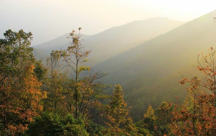 五指山“呆家大片”赏析