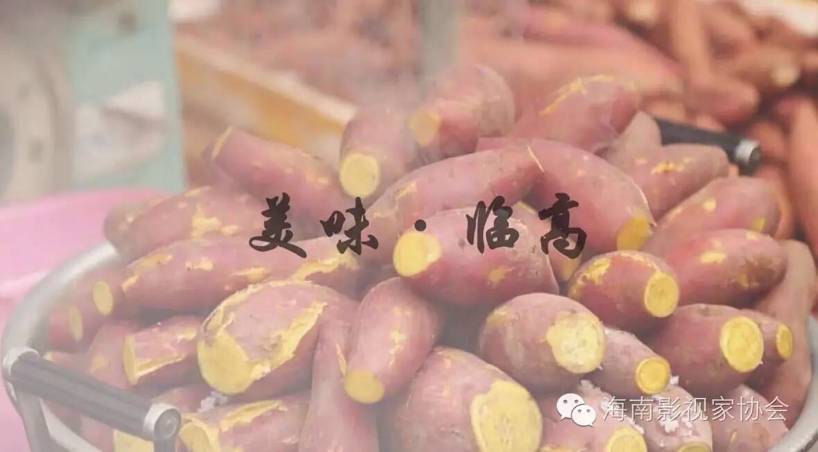 DV看临高作品之《美味·临高》