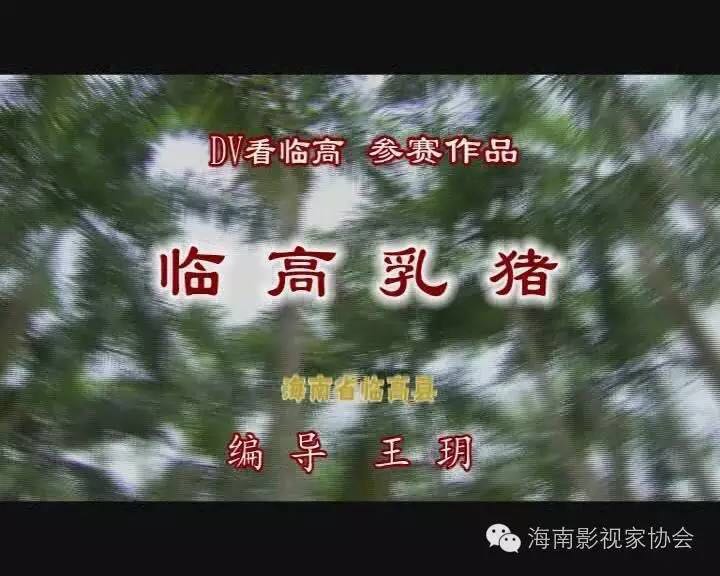 DV看临高作品之《临高乳猪》