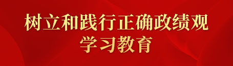 树立和践行正确政绩观学习教育