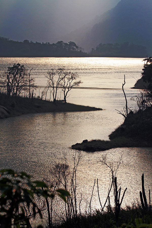 《岸、水、木》——杨威胜摄影.jpg