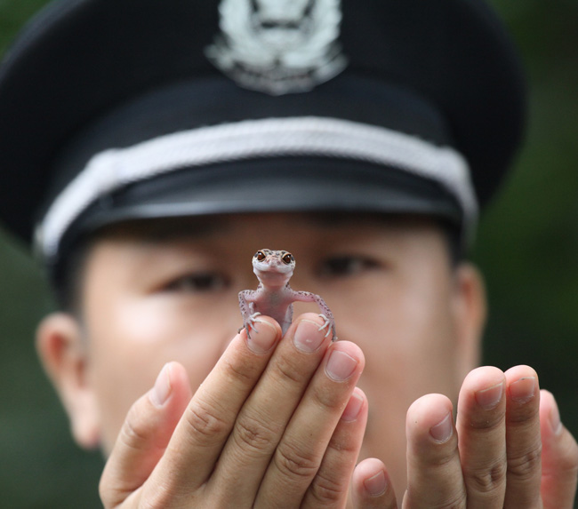 《守护》纪实类作者：黄启清.jpg